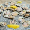 Are Clams Good for You