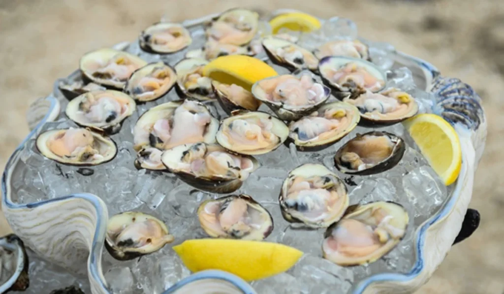 Are Clams Good for You