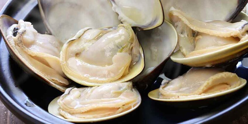 Are Clams Good for You