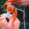 Corpus Christi travel tips